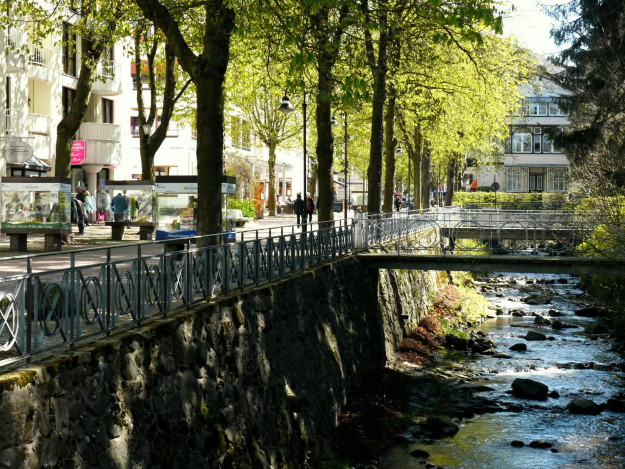 Appartamento Henning Bad Harzburg Esterno foto